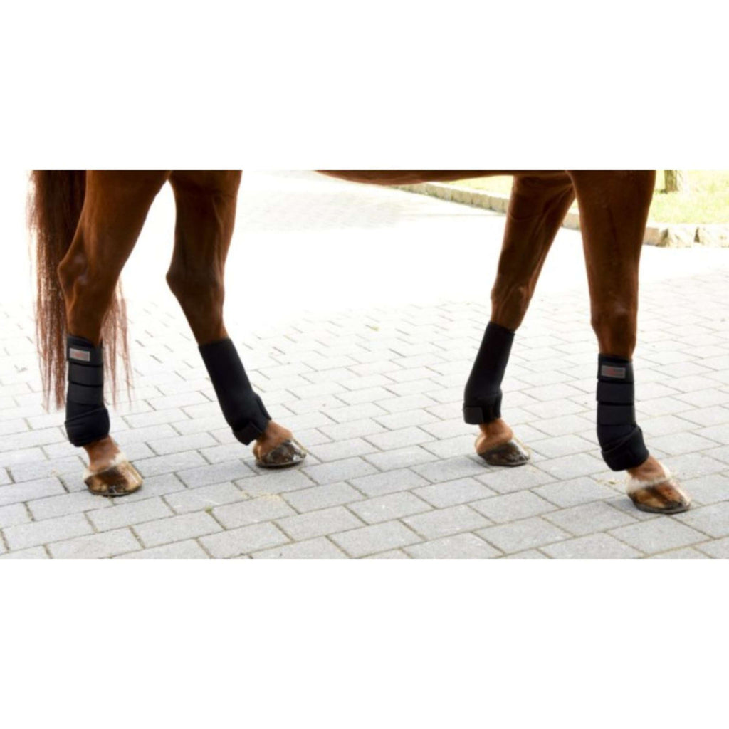 Kerbl Protèges-Tendons Synthétique Caoutchouc Set de 4 Noir
