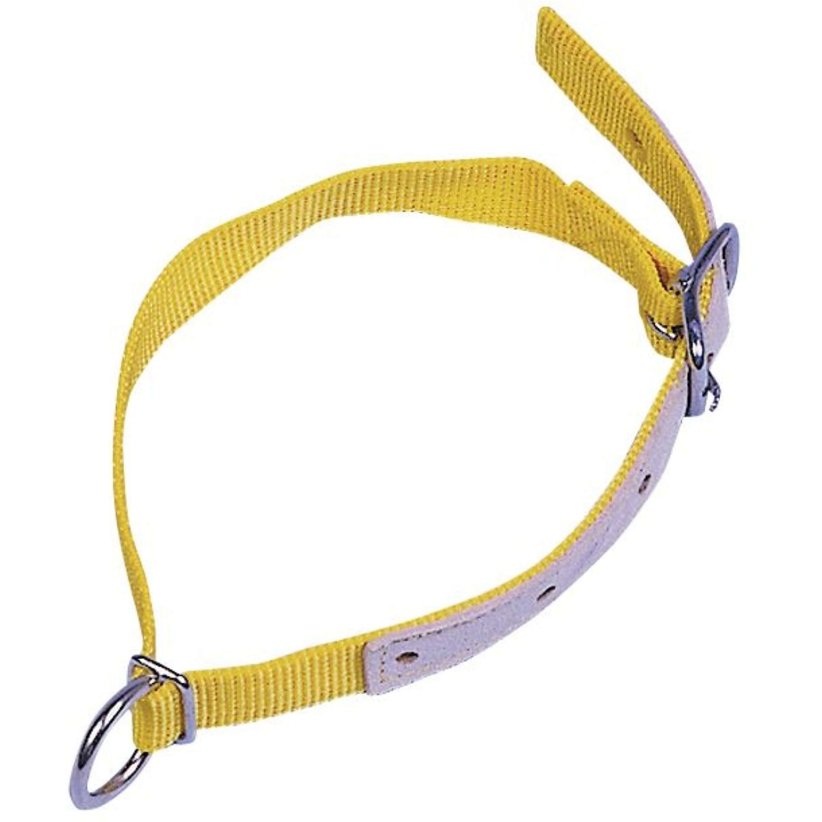 Kerbl Collier Nylon Mouton/Chèvre Jaune Kerbl Collier Nylon Mouton/Chèvre Jaune