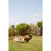 Ako Filet Avicole Double Pointe Orange