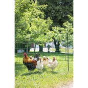 Ako Filet Avicole Goupille Double Conductrice Vert