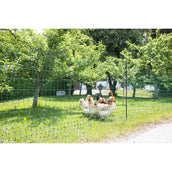 Ako Filet Volaille Simple Pointe Vert