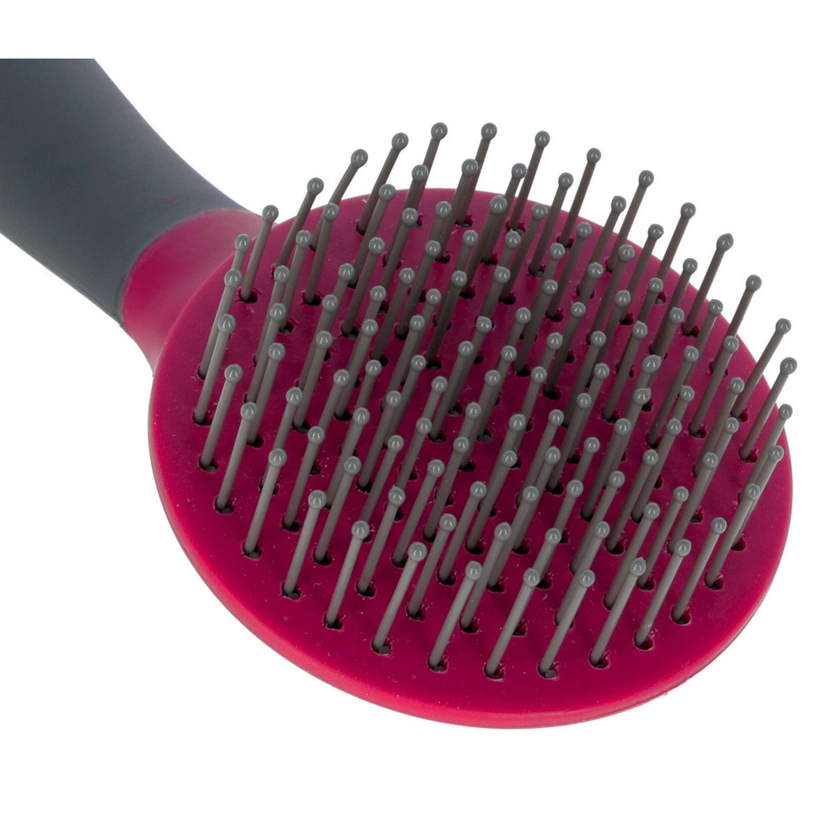 Oster Brosse Queue et Crinière Mûre