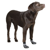 Kerbl Chaussettes pour chien Susi Noir/Gris