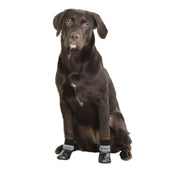 Kerbl Chaussettes pour chien Susi Noir/Gris