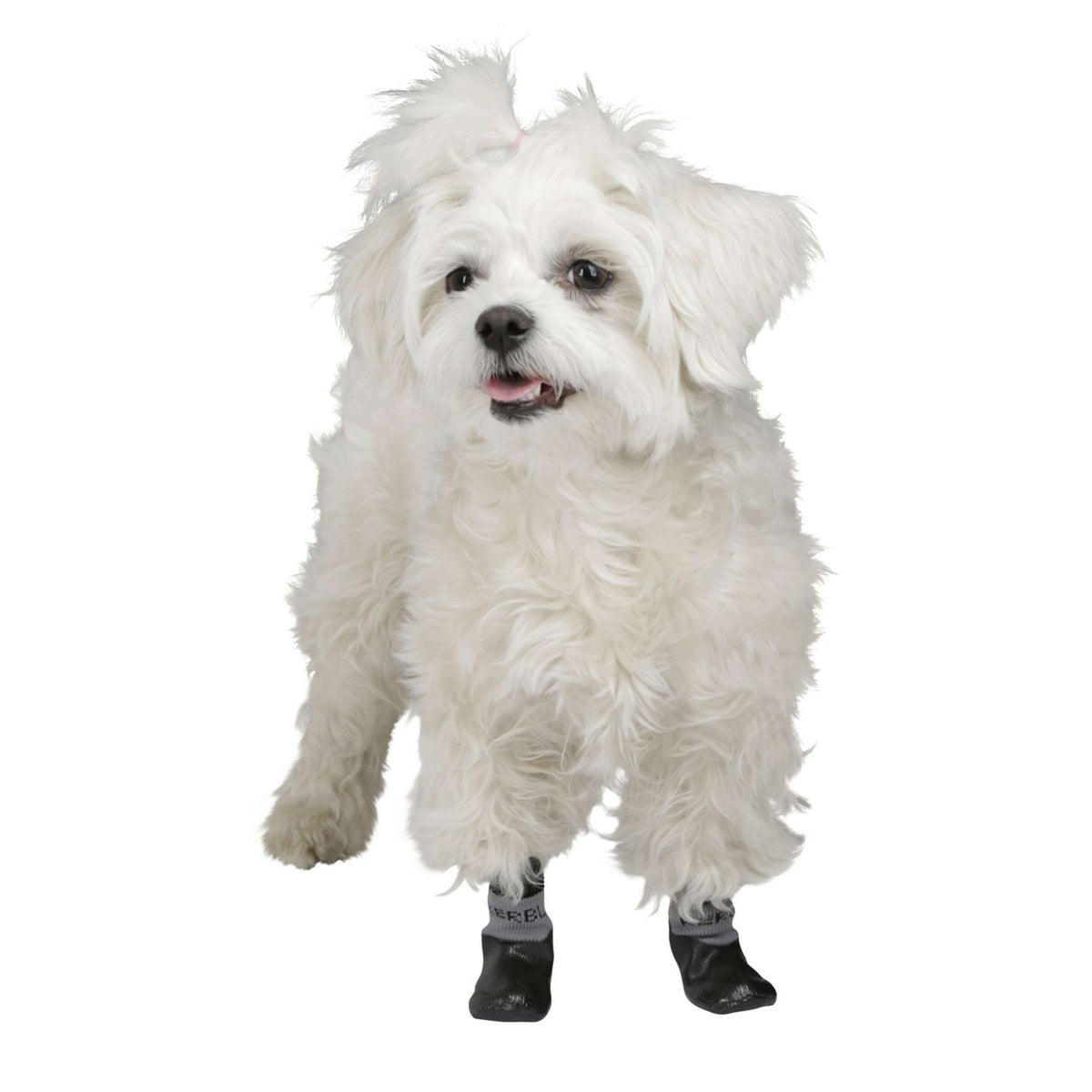 Kerbl Chaussettes pour chien Susi Noir/Gris