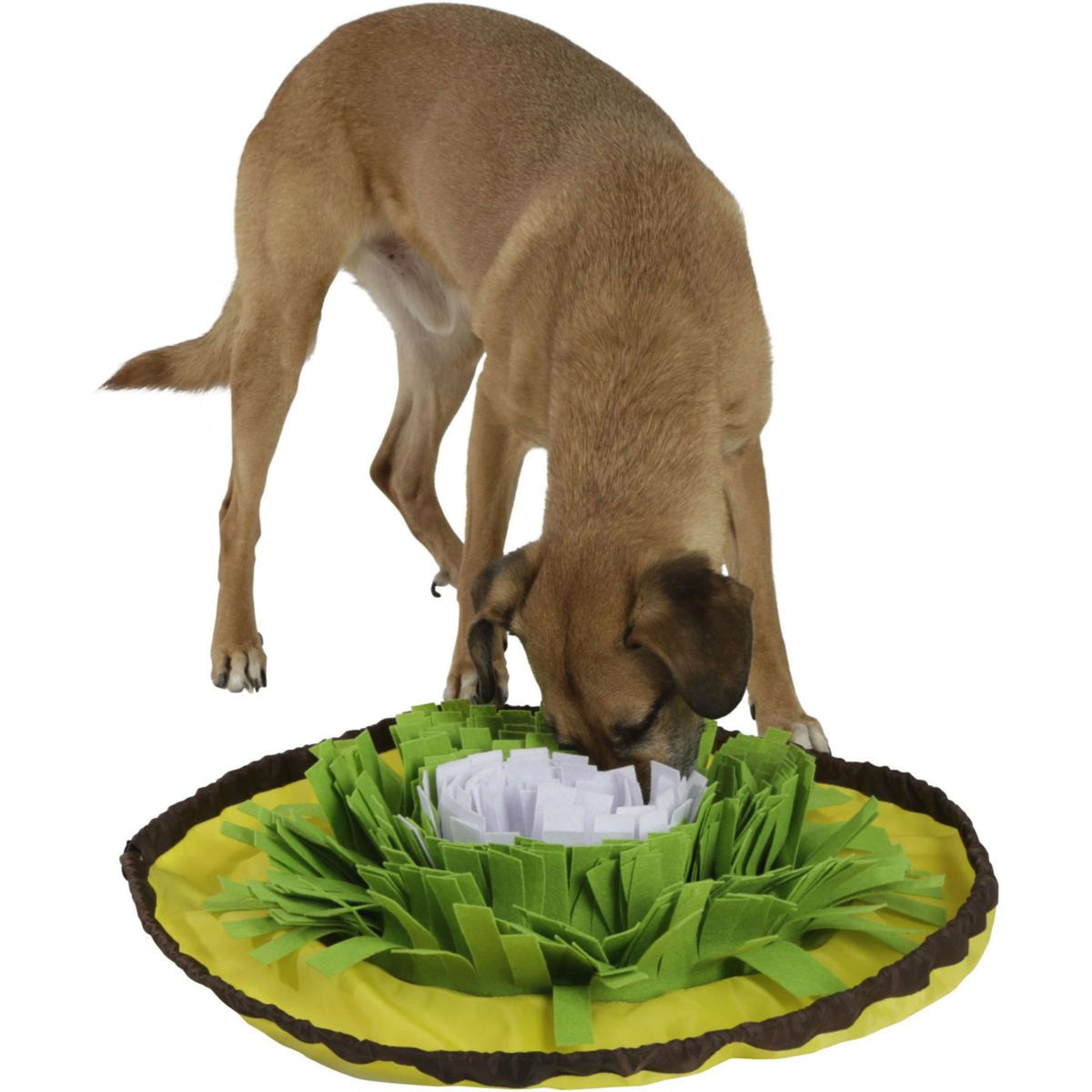 Kerbl Tapis de Fouille Bowl Jaune/Vert/Blanc