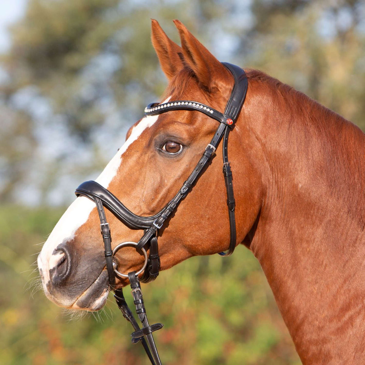 Kieffer Bridon Amy Ultrasoft Suédois avec Boucle et Noseband Noir