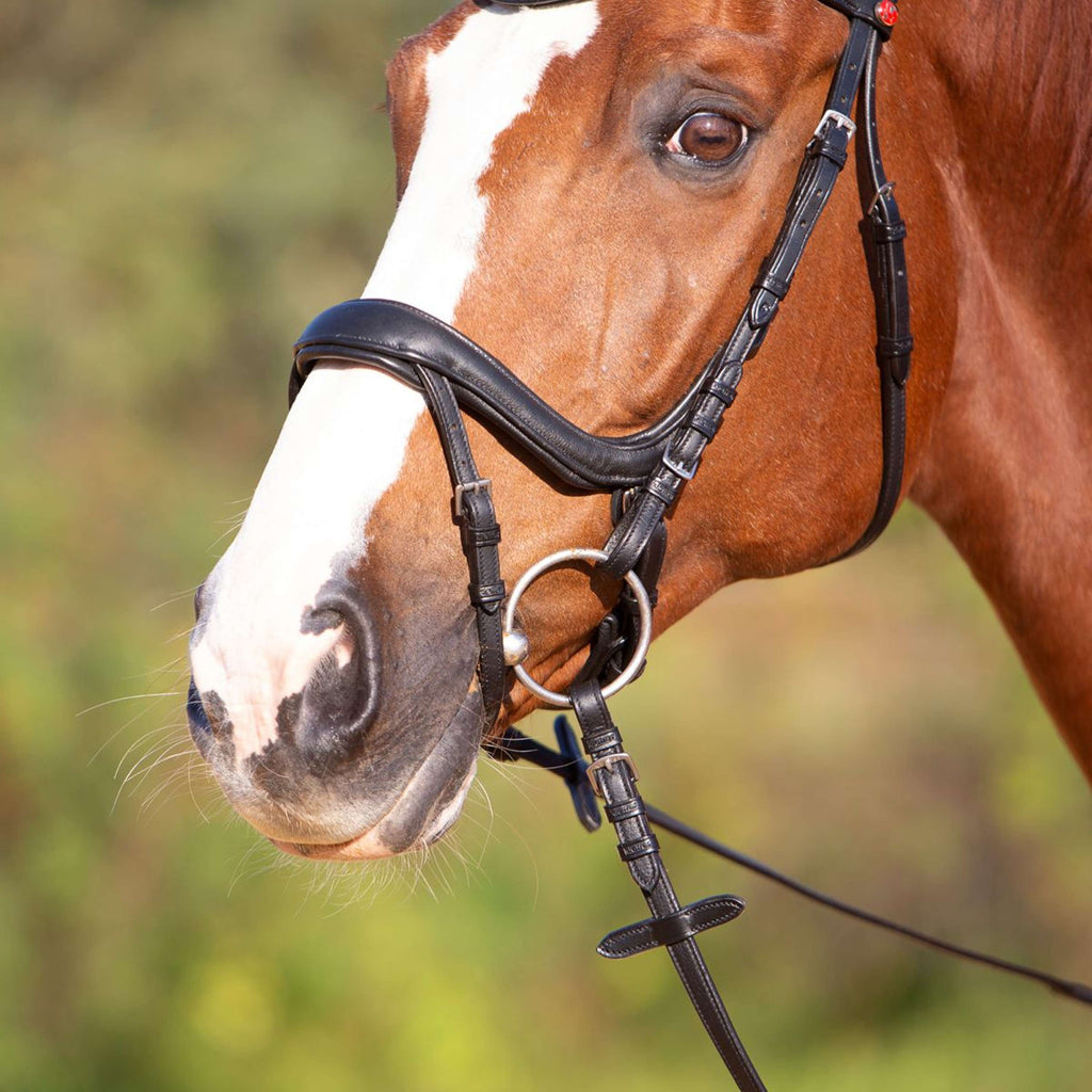 Kieffer Bridon Amy Ultrasoft Suédois avec Boucle et Noseband Noir