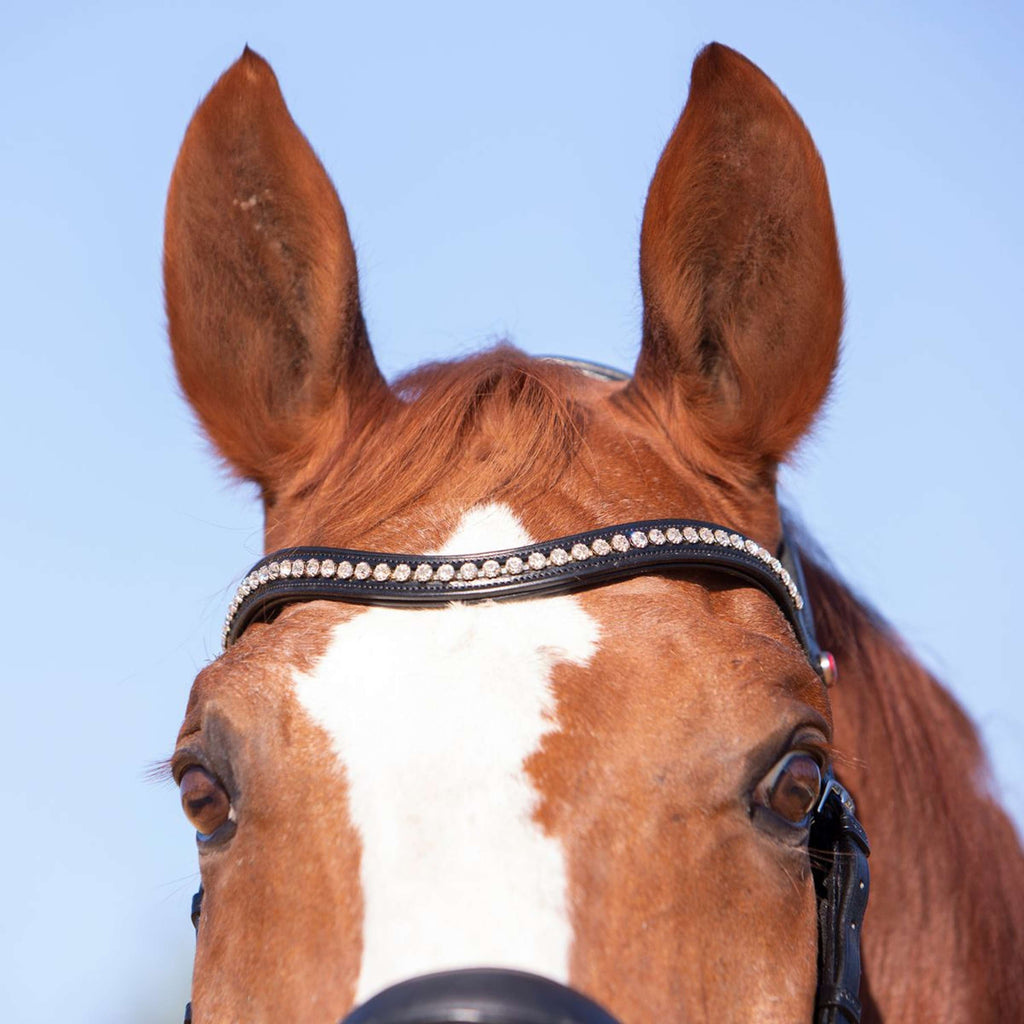 Kieffer Bridon Amy Ultrasoft Suédois avec Boucle et Noseband Noir