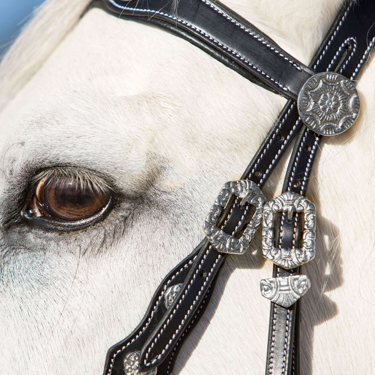 Kieffer Snaffle Bridle Isabella Spanish Noir/Argent