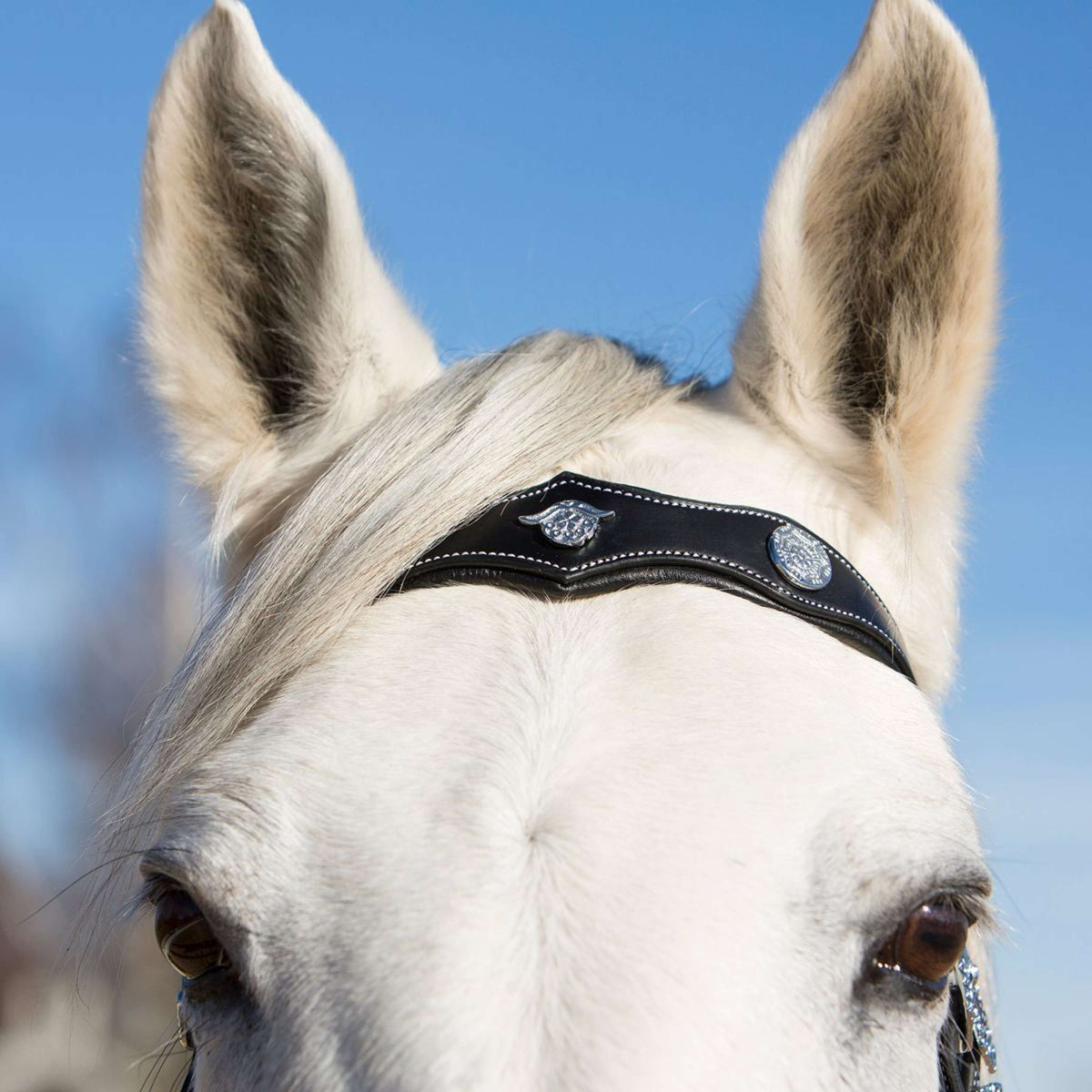 Kieffer Snaffle Bridle Isabella Spanish Noir/Argent