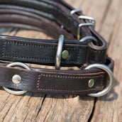 Kieffer Collier pour Chien Ultrasoft Dressage Noir