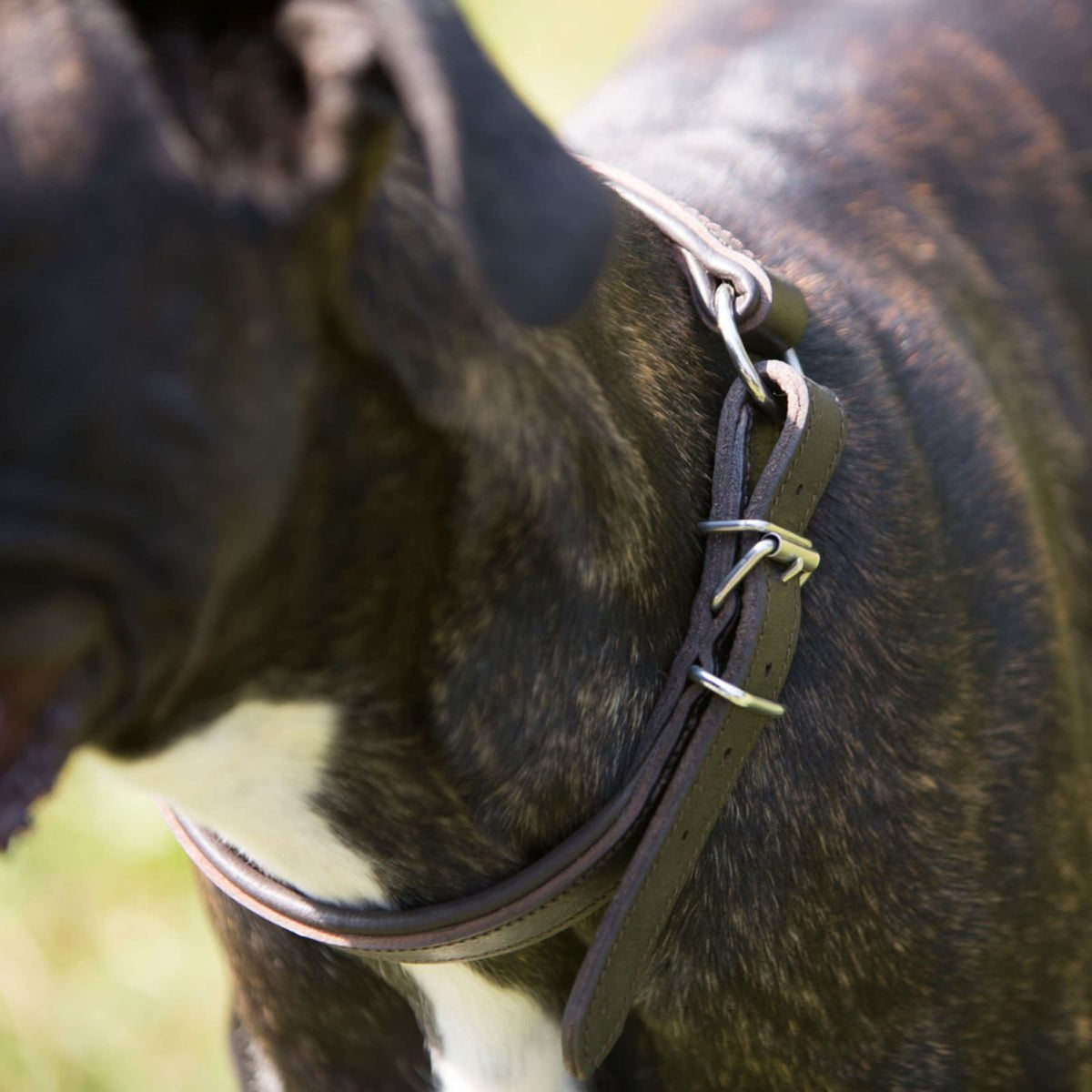 Kieffer Collier pour Chien Ultrasoft Dressage Noir