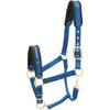 Kieffer Licol Nylon Bleu