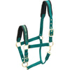 Kieffer Licol Nylon Vert