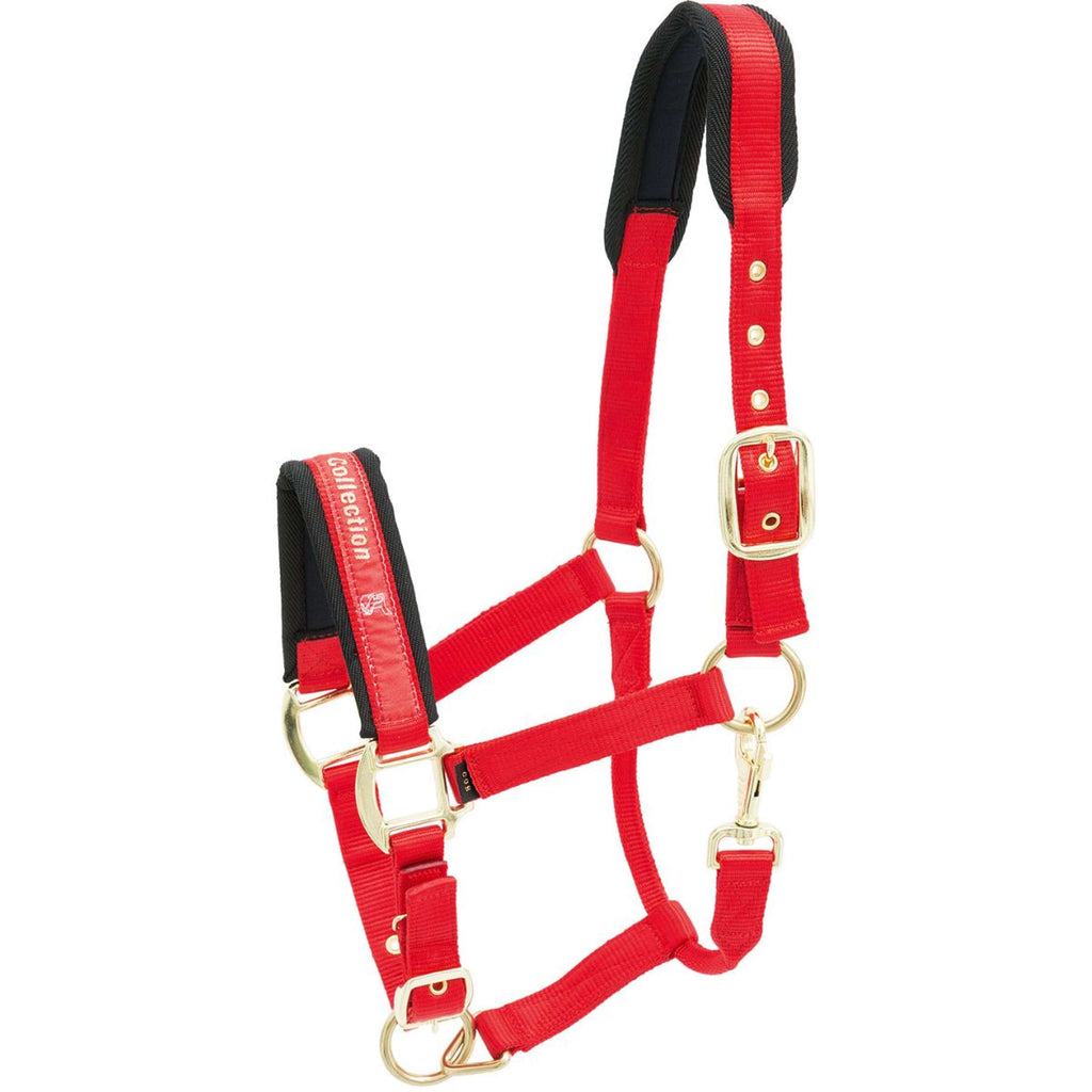 Kieffer Licol Nylon Rouge