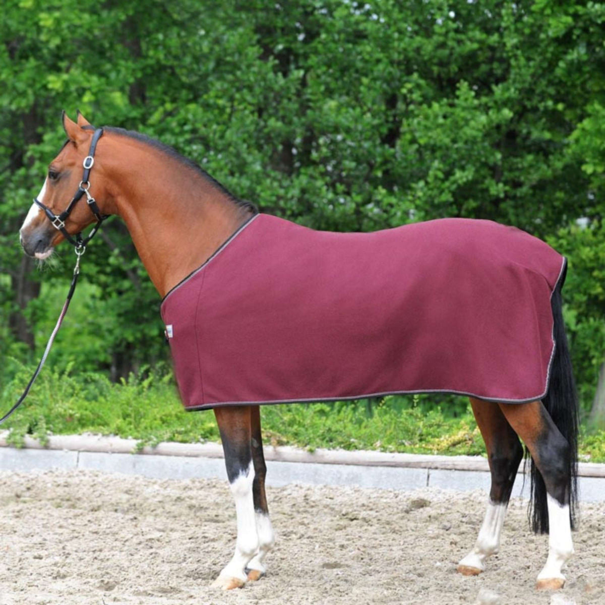 Kavalkade Couvertures Anti-Transpiration Ecoline Fleece Bordeaux