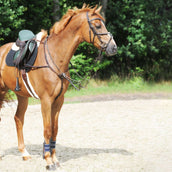 Kavalkade Collier de Chasse Leyla Marron