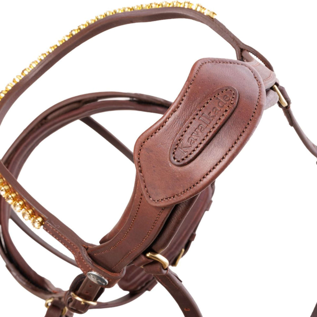 Kavalkade Bride Caliano Marron/Laiton