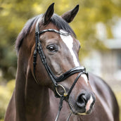 Kavalkade Bride Ivana Anglais Noir