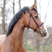 Kavalkade Bride Florina KavalSH4 Cousu Autour Marron