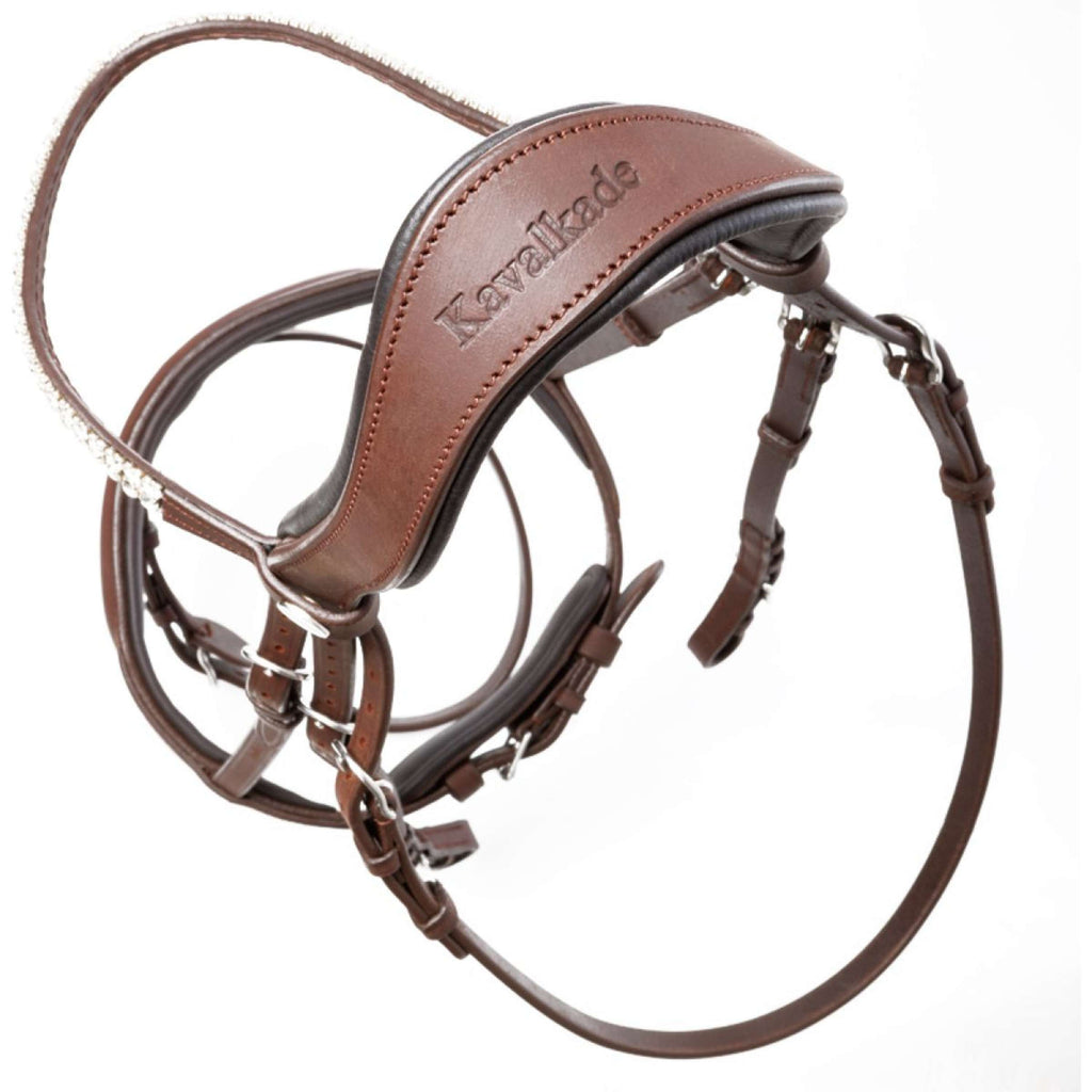 Kavalkade Bride Everness Marron