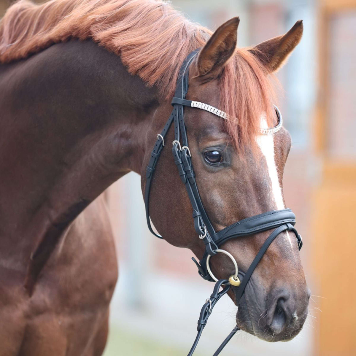 Kavalkade Bride Everness Noir