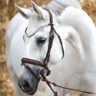 Kavalkade Bride Everness Marron