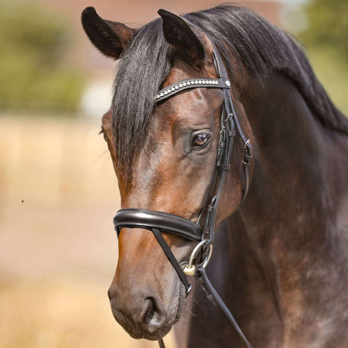 Kavalkade Frontal Fausses Pierres Blanches Noir