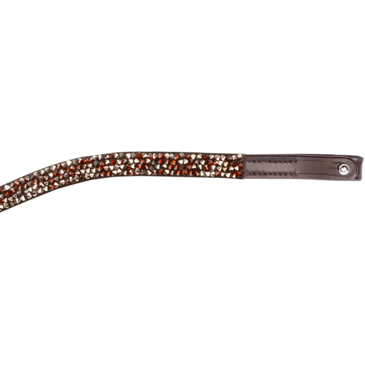 Kavalkade Frontal Courbé Bouton Café-Marron