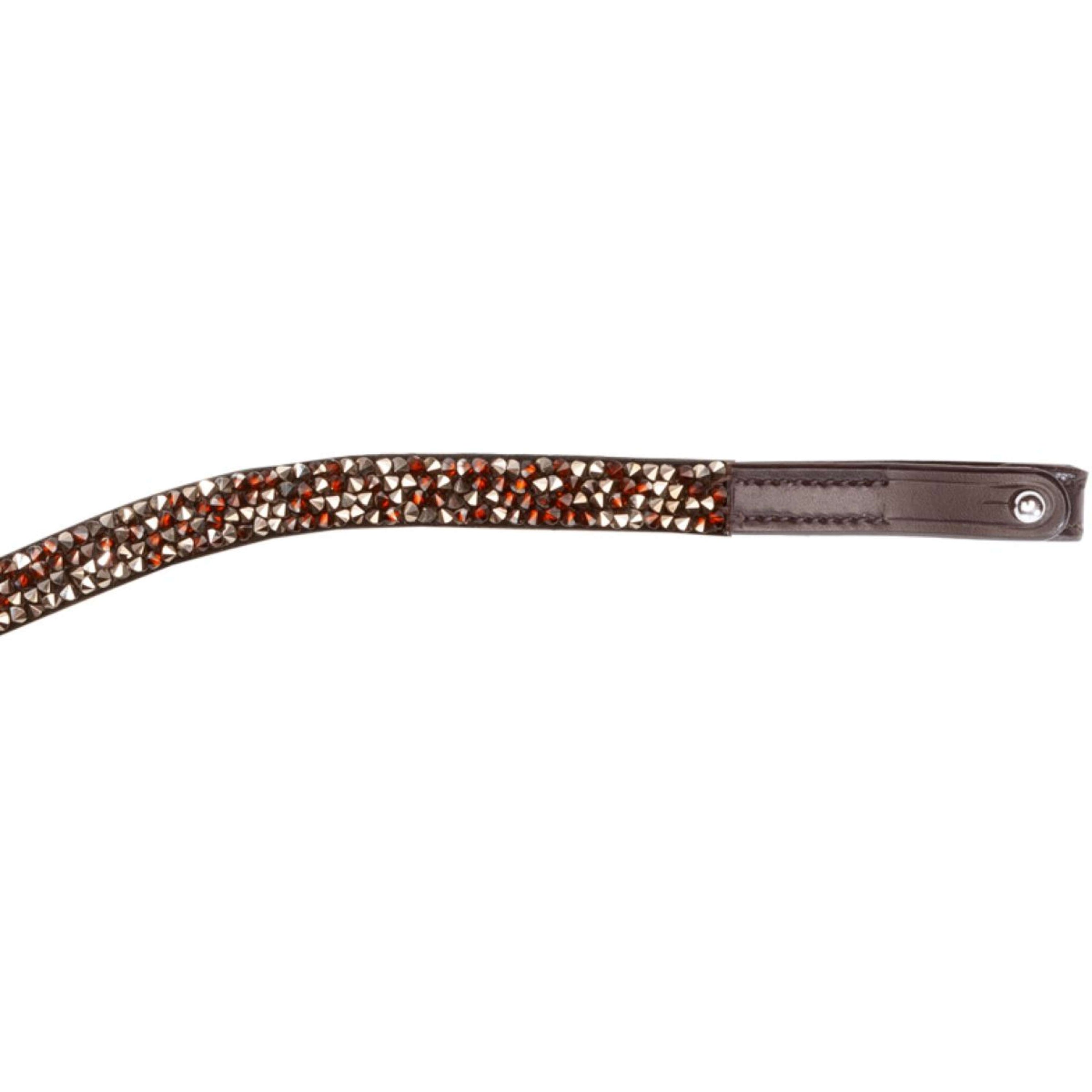 Kavalkade Frontal Courbé Bouton Café-Marron