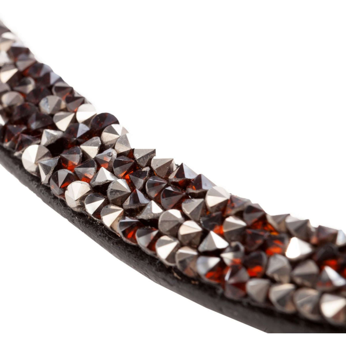 Kavalkade Frontal Courbé Bouton Café-Marron