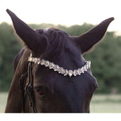 Kavalkade Frontal Exquisite Noir/Blanc