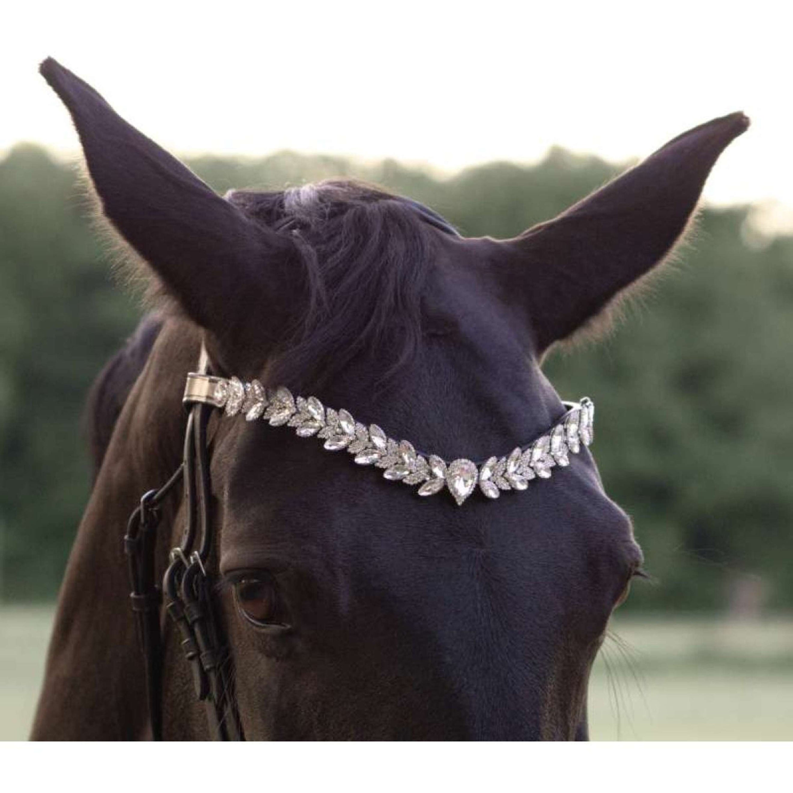 Kavalkade Frontal Exquisite Noir/Blanc