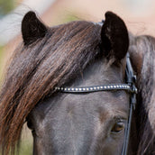 Kavalkade Browband Glansandi Noir