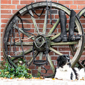 Kavalkade Rênes Cortica Vegane de Liège Noir
