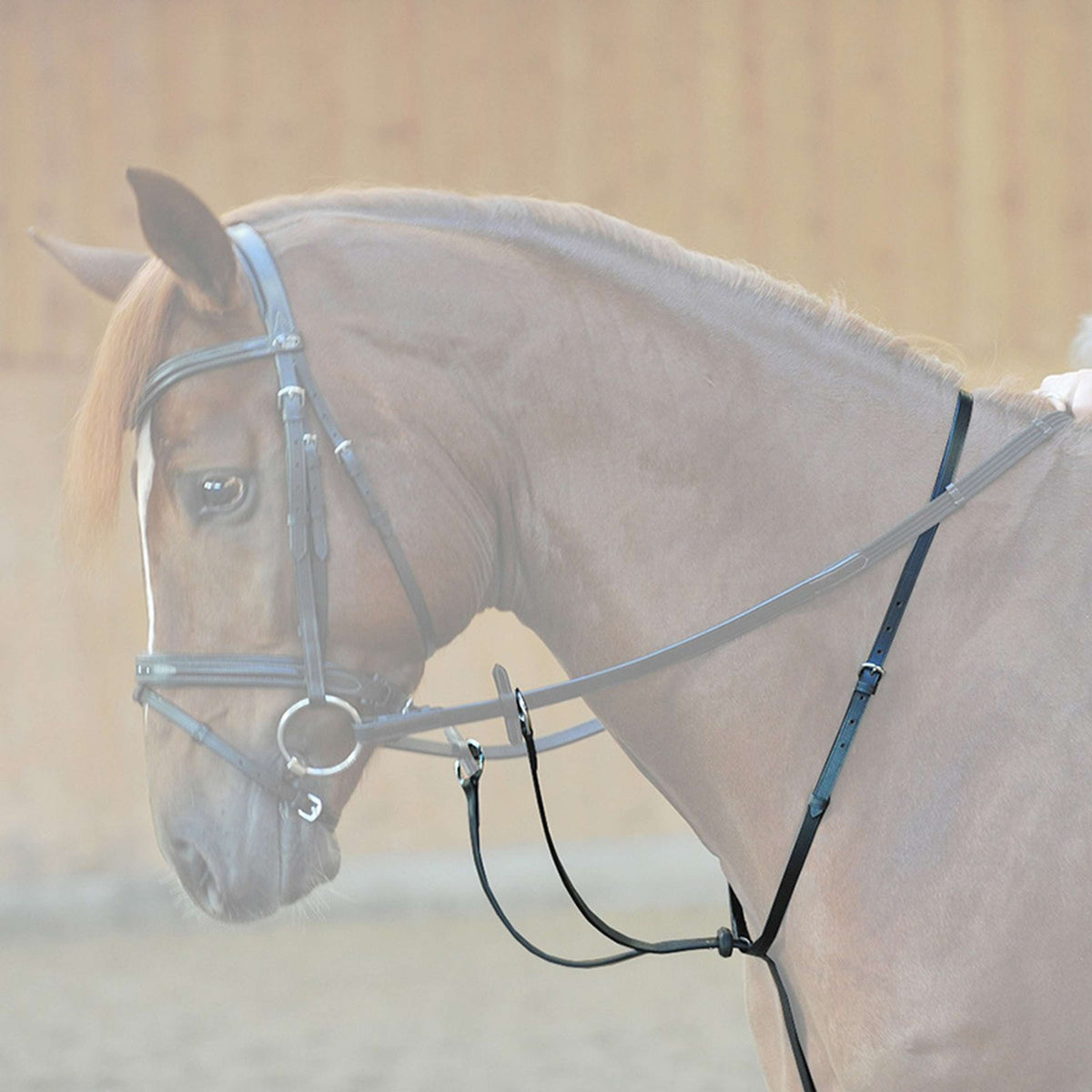 Cavalier allemand en cheval d'armure noir et cavalier droit. Les Cavalier allemand en cheval d'armure noir et cavalier droit. Les