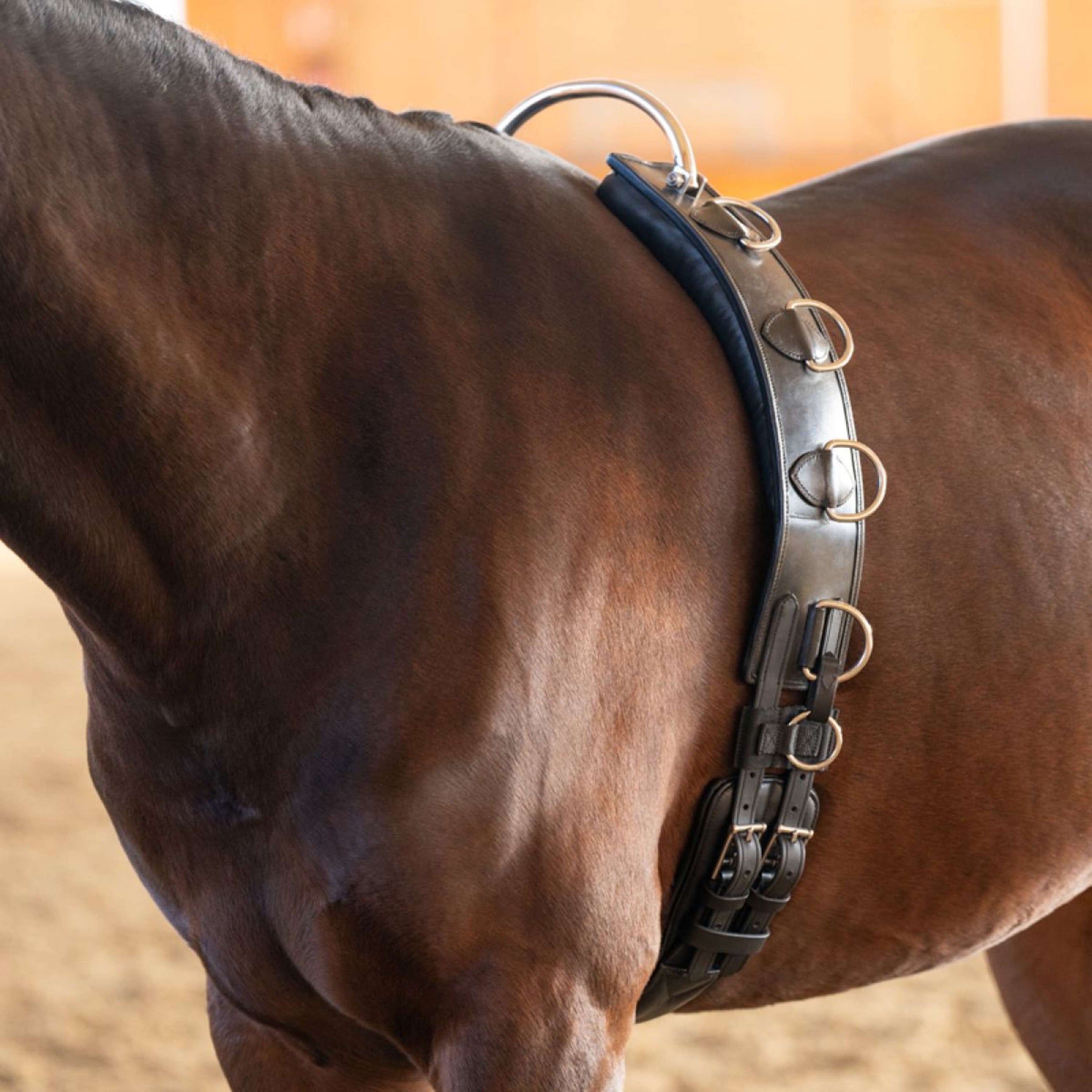 Kavalkade Surfaix de Longe Frame Noir