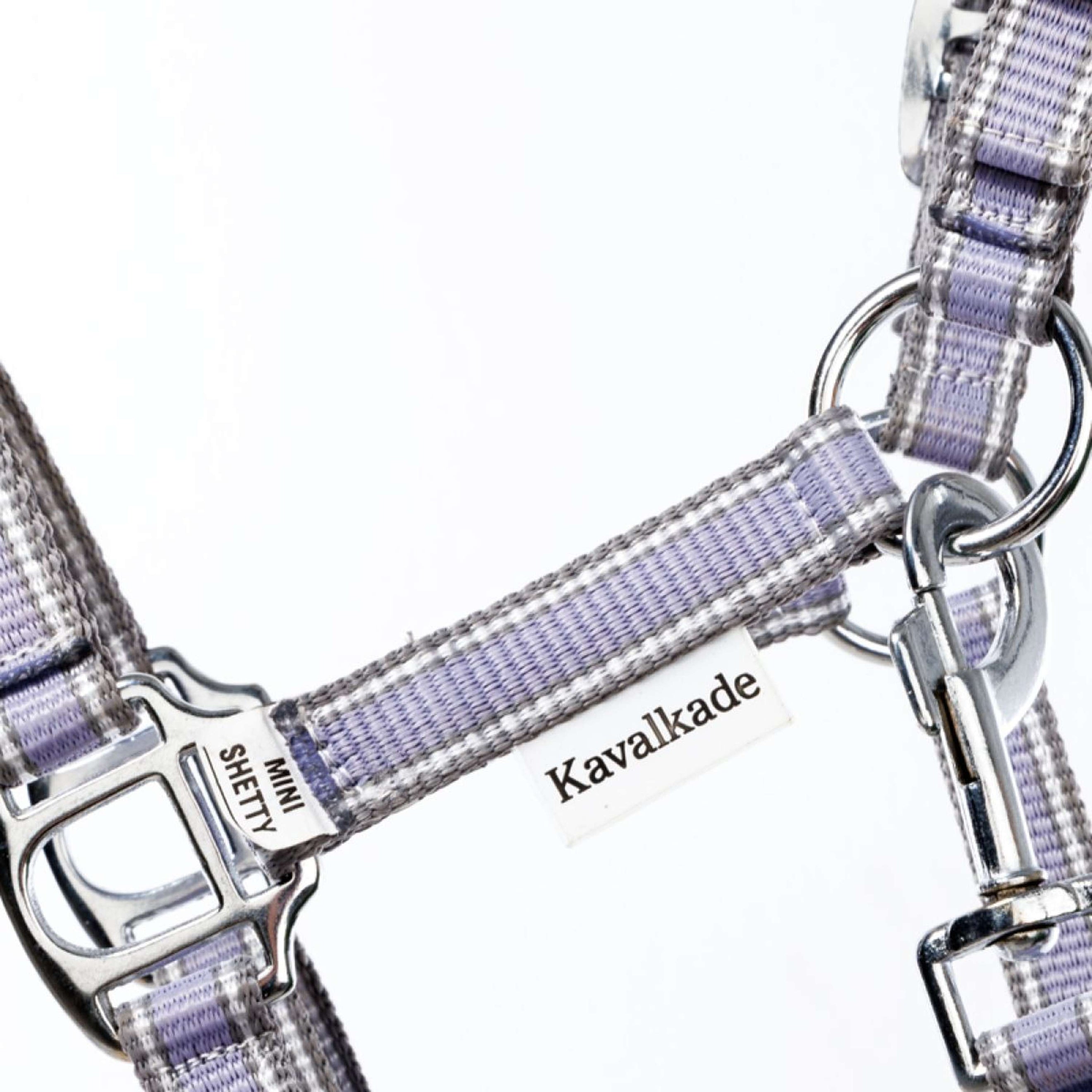 Kavalkade Licol Shorty Flieder/Gris/Blanc