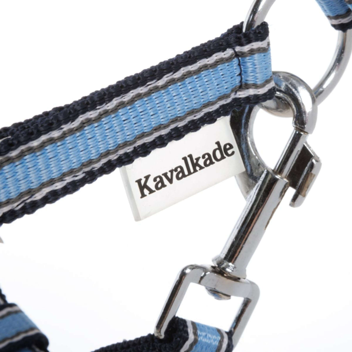 Kavalkade Licol Shorty Bleu