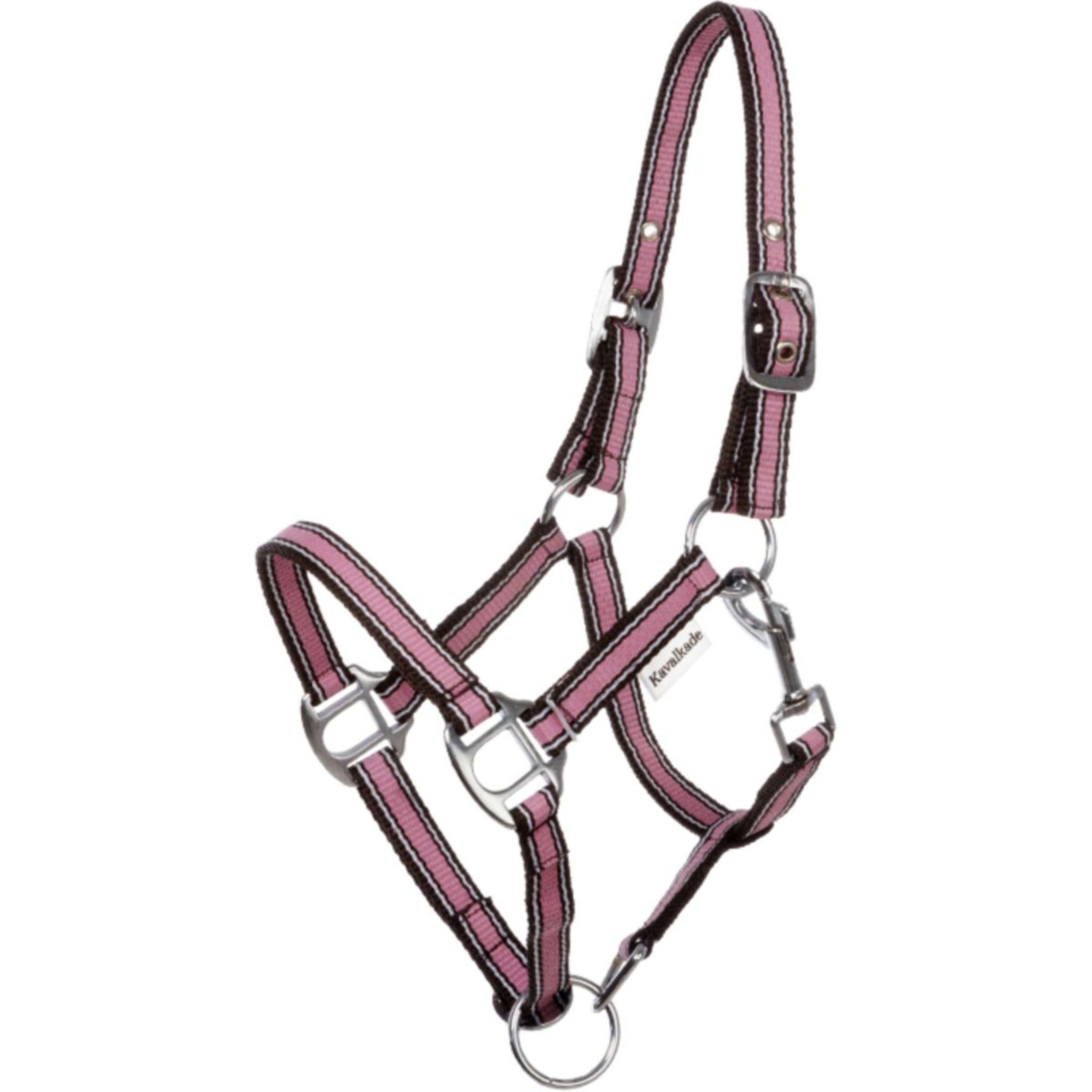 Kavalkade Licol Shorty Rose Kavalkade Licol Shorty Rose