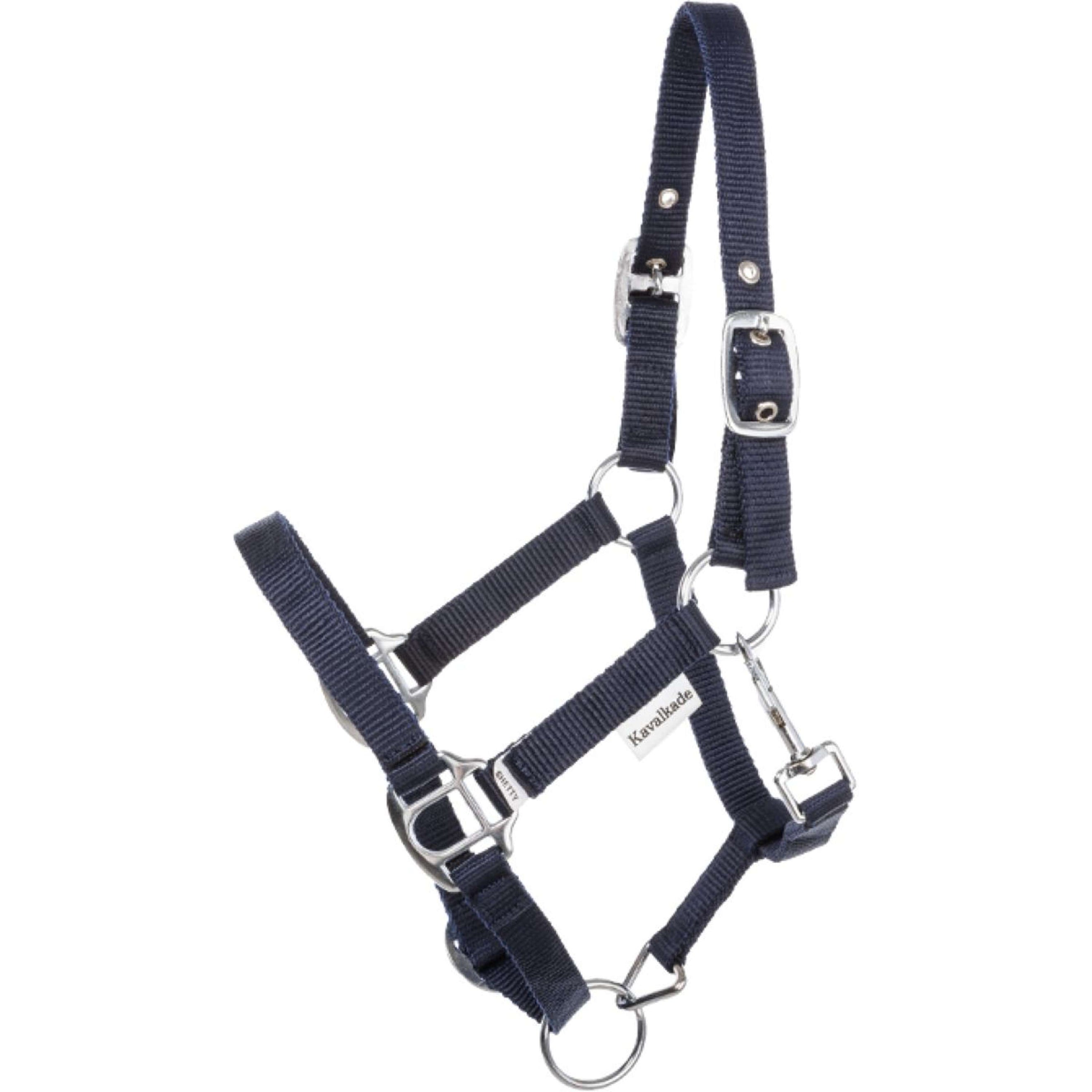 Kavalkade Licol Shorty Marin Kavalkade Licol Shorty Marin