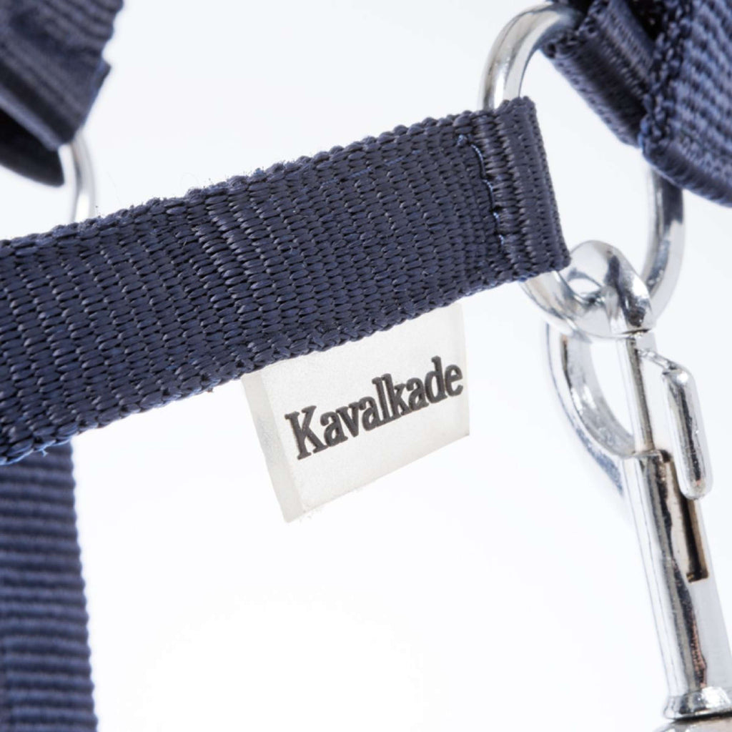 Kavalkade Licol Shorty Marin