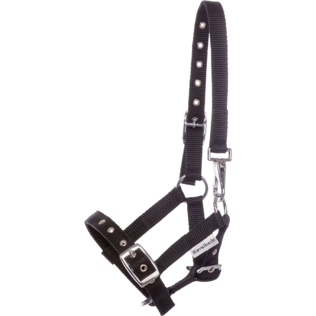 Kavalkade Licol Foal/Yearling Noir