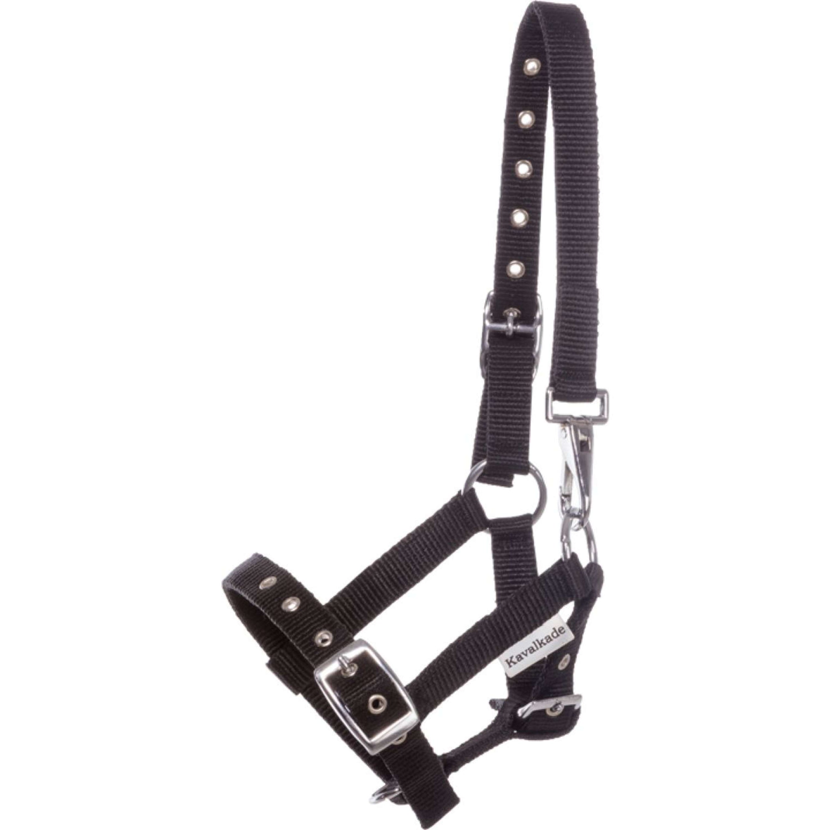 Kavalkade Licol Foal/Yearling Noir