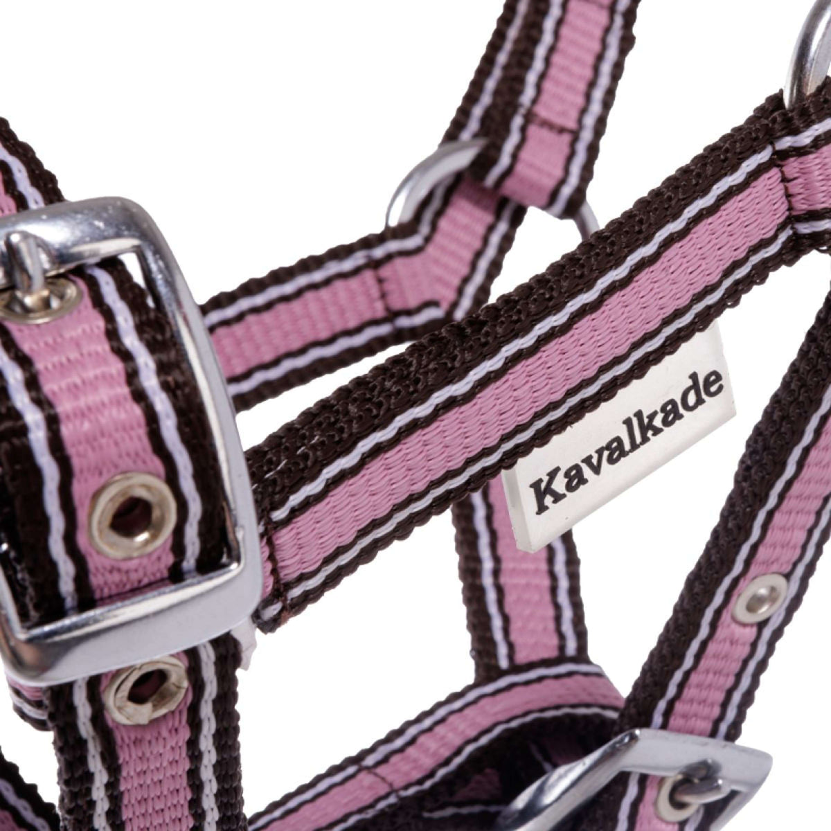 Kavalkade Licol Poulain et Yearling Rose