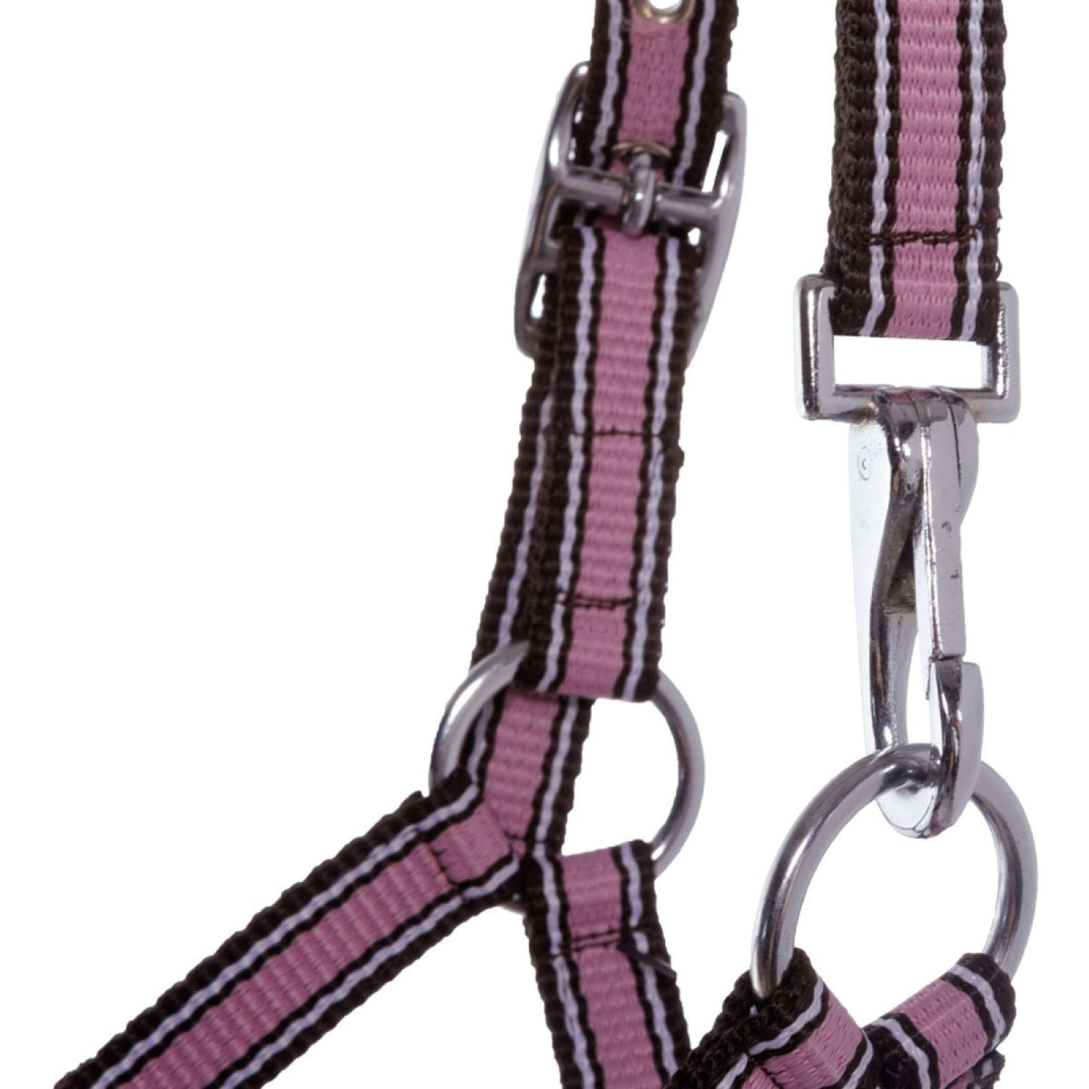 Kavalkade Licol Poulain et Yearling Rose