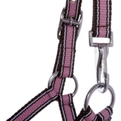 Kavalkade Licol Poulain et Yearling Rose