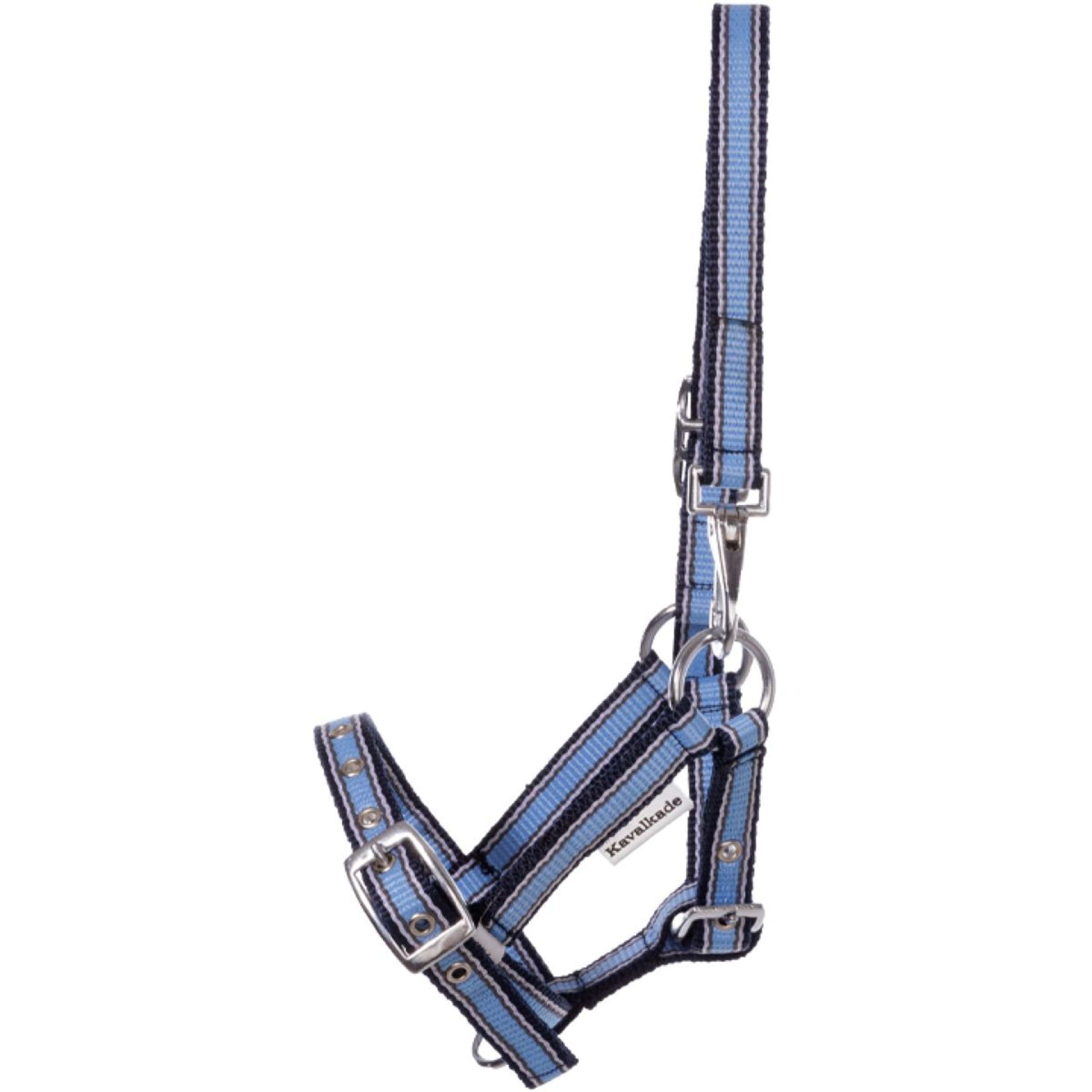 Kavalkade Licol Foal/Yearling Bleu clair/bleu marine/blanc