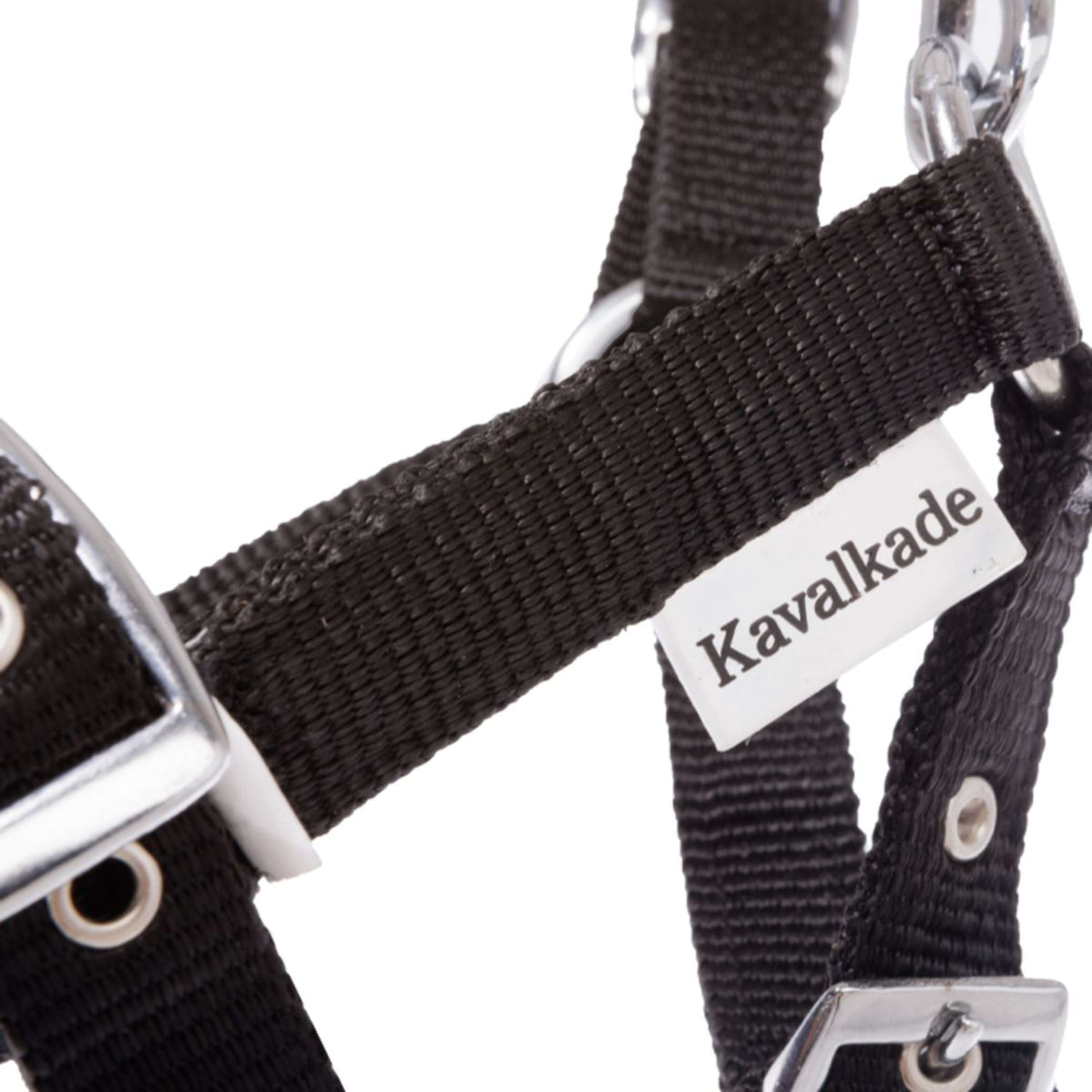 Kavalkade Licol Poulain et Yearling Noir Kavalkade Licol Poulain et Yearling Noir